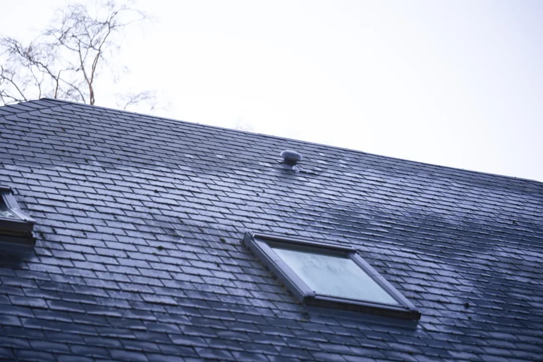 Dachówka płaska czy falista – która jest lepsza dla Twojego dachu?